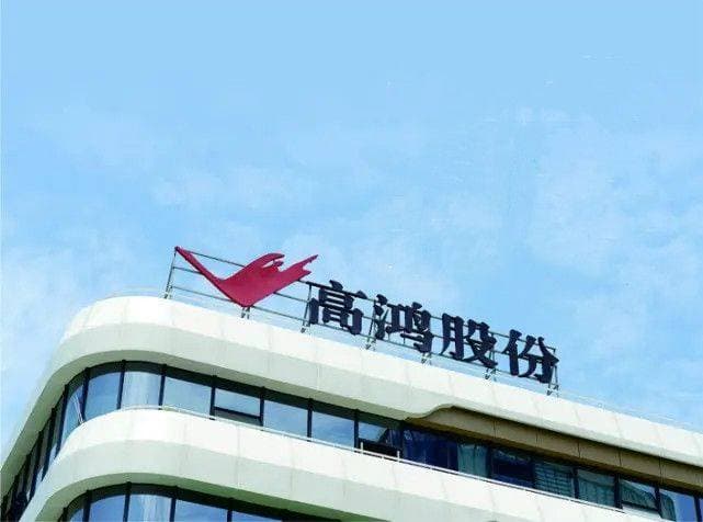 A股“跌停王”*ST高鸿锁定退市，九年造假超250亿元！